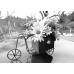Cykelkorg med blommor
