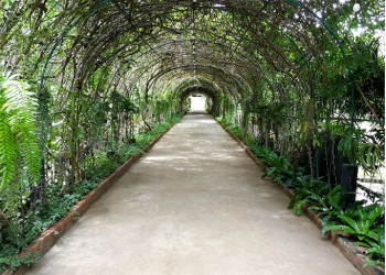 Garden tunnel